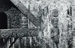 Whakarewarewa by Peter Peryer, gelatin silver print (1993), offered Jun 2020