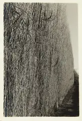Bethlehem by Peter Peryer, gelatin silver print, sold Jun 2020