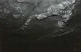 Peter Peryer, Cave