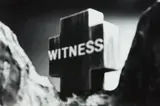 Ronnie van Hout, Witness