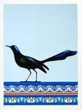 Don Binney, Grackle, Veracruz