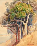 Adele Younghusband, Untitled, ink and watercolour on paper