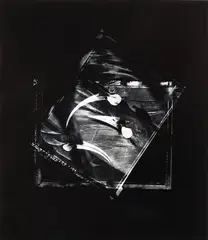 Fiona Pardington, Study for Huia Love Triangle, gelatin silver print, 1/5