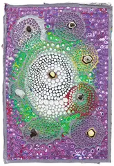 Rohan Wealleans, Untitled III, house paint on canvas (2009)