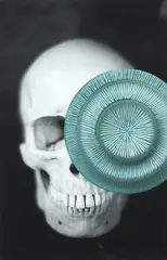 Tender Buttons (Skull) by Gavin Hipkins, type C print, 3/8, sold Nov 2019
