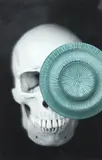 Gavin Hipkins, Tender Buttons (Skull)