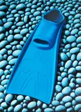 Michael Smither, Blue Flipper