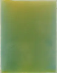 Leigh Martin, Untitled #5, resin and pigment on canvas