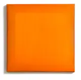Johl Dwyer, Fire, resin, enamel and acrylic on board