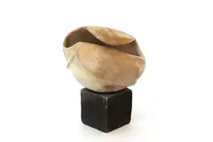 Ces Thomas, Raku fired form, on a raku fired plinth