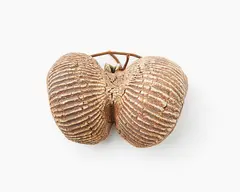 Stoneware hanging form by Len Castle, with ribbed pattern and ochre wash, sold Sep 2019
