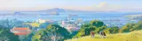 Simon Williams, Untitled – View of Rangitoto, oil on canvas