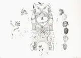 Shane Cotton, Veil, lithograph, 30/40