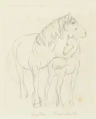 Molly Macalister, Untitled – study of a horse and foal, pencil