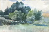 Frank H. Wright, Taranaki, watercolour