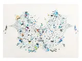 Peter Madden, In Great Excitement Two Hummers Split A Sun Swarm, found images on perspex