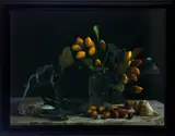 Fiona Pardington, Still Life with Karaka Drupes and Gecko Skin, pigment inks on Hahnemuhle photo rag paper (2012)