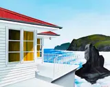 Ian Scott, Light, Anawhata