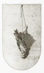 Grahame Sydney, Sparrow, etching, A/P