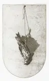 Grahame Sydney, Sparrow, etching, A/P