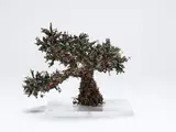 Ryuzo Nishida, Matsu Modoki, acrylic paint, plastic models and perspex