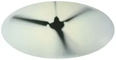 Brad Lochore, Fan, oil on aluminium