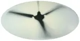Brad Lochore, Fan, oil on aluminium