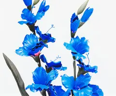 Richard Maloy, Blue Flowers, type C print, edition of 3