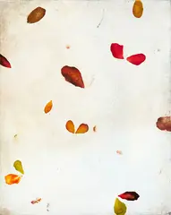 Antonio Murado, Untitled, oil on Belgian linen