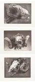 Barry Cleavin, The Hungry Sheep Look Up 1, 2, 3, etching, 11/17, triptych