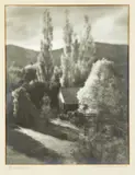 James Walter Chapman-Taylor, Last Rays, gelatin silver print