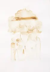 Richard Orjis, Elliot II, soil on paper