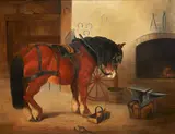 G. Twedell, Shire Pony, oil on canvas