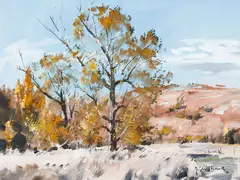 Douglas Badcock, Autumn near Bannockburn, Central Otago, oil on board