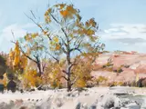 Douglas Badcock, Autumn near Bannockburn, Central Otago