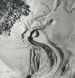 Mud Pool Study by Theodorus Johannes Schoon, gelatin silver print, sold Jun 2019