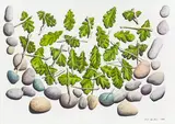Mark Wooller, Vessel