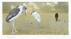 Elizabeth Thomson, Marabou, Jabiru, colour lithograph, A.P.