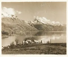 George Chance, Pasture beside Lake Wakatipu, N.Z., gelatin silver print