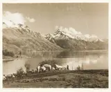 George Chance, Pasture beside Lake Wakatipu, N.Z., gelatin silver print