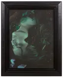 Fiona Pardington, Akura Pūpū Waireti/Violet Snail, Wahine Pātere, Wahine Pānekeneke, pigment inks on Hahnemuhle photo rag paper, 3/10 (2013)