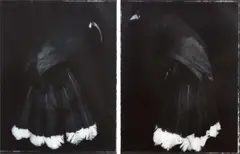 Fiona Pardington, Huia Lovers, silver bromide hand-prints, diptych (2004)