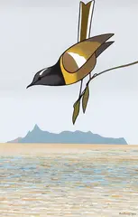 Don Binney, Bellbird over Great Barrier Island, oil on paper