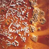 Silica – coated and fossilized debris, Waiotapu by Theodorus Johannes Schoon, colour Cibachrome print, photograph taken circa 1968, sold Apr 2019