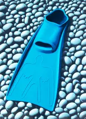 Blue Flipper by Michael Smither, screenprint, 29/50, sold Feb 2019