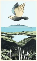 Kaiarara Kaka, Great Barrier by Don Binney, silkscreen print, 8/150, sold Feb 2019
