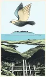 Don Binney, Kaiarara Kaka, Great Barrier