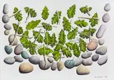 Mark Wooller, Vessel