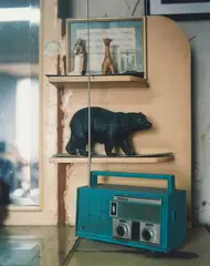Mark Smith, Untitled (Bear), type C print