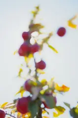 Patrick Reynolds, Against the Day No. 10, light fast pigment on cotton rag paper, 1/6